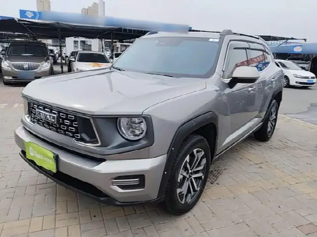 Haval H-Dog 2023, 10 900 км
