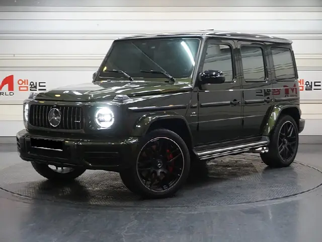 Mercedes-Benz G-Class 2019, 14 507 км