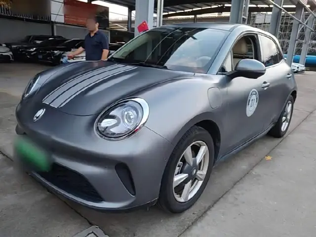 Ora Good Cat GT (03 GT) 2025, 9 300 км