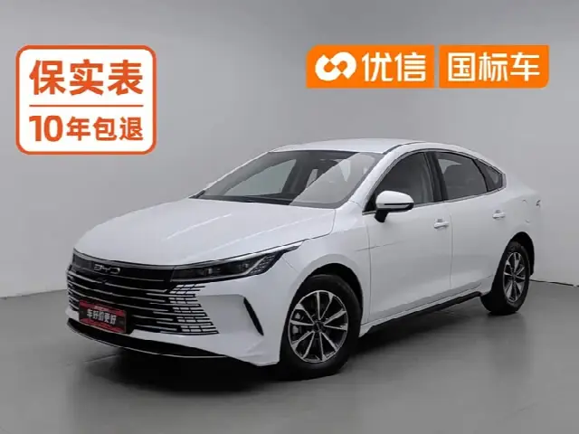 BYD Destroyer 05 2024, 35 100 км