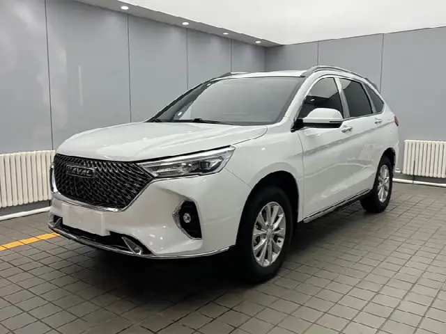 Haval M6 2021, 59 000 км