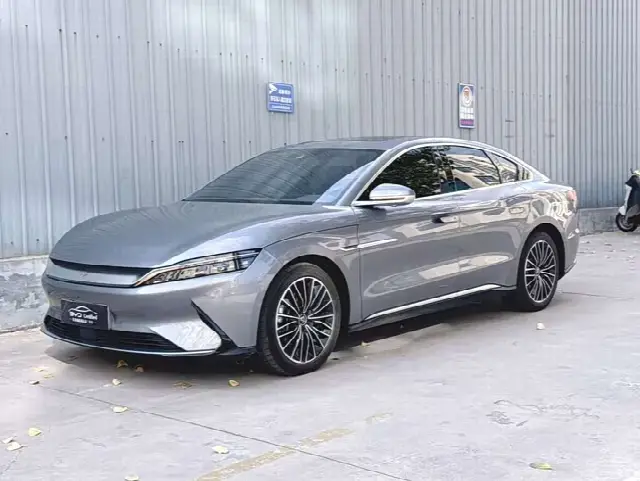 BYD Han 2020, 62 500 км
