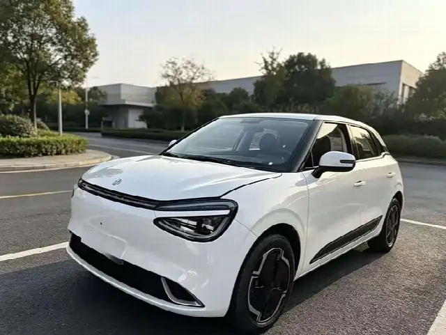 Dongfeng Yipai Nano 01 2024, 27 000 км