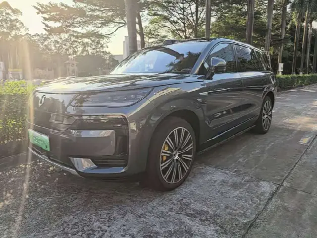 Denza N9 2025, 18 000 км