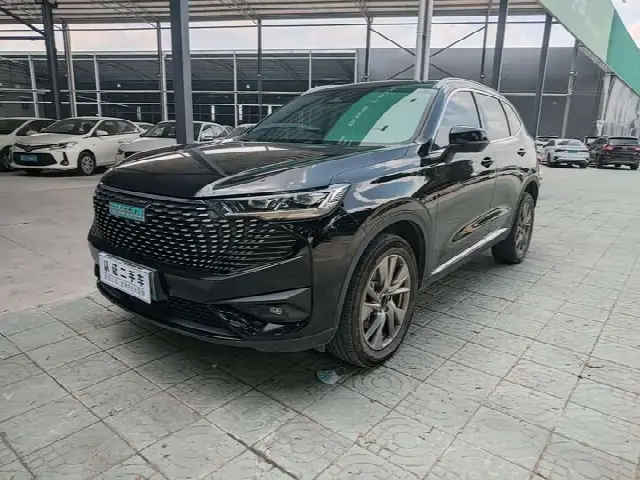Haval H6 Hybrid 2023, 24 000 км
