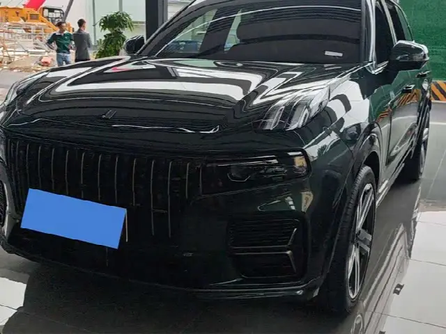 Lynk & Co 09 2024, 10 000 км