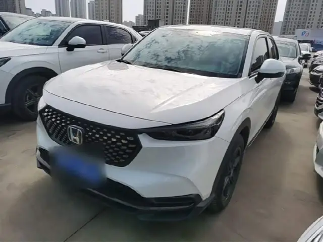 Honda XR-V 2024, 51 600 км