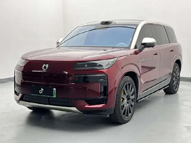 Denza N9 2025, 48 000 км