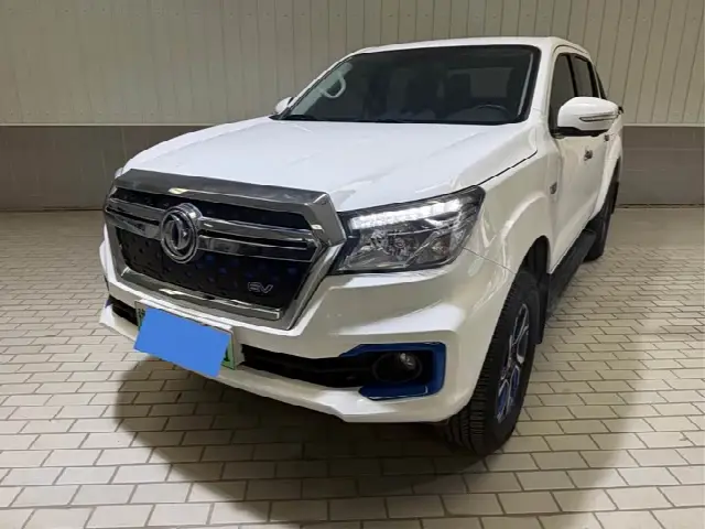 Dongfeng Rich 6 EV 2022, 45 000 км