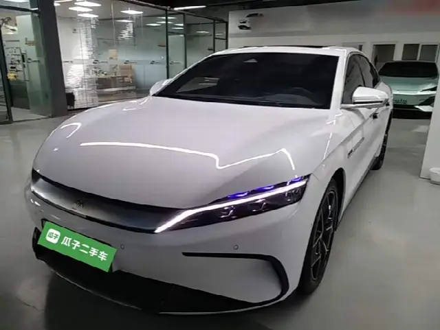 BYD Han 2022, 22 700 км