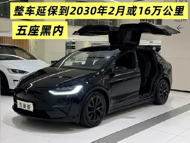 Tesla Model X 2023, 98 000 км