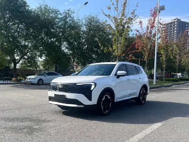 Ford Equator Sport 2025, 33 000 км
