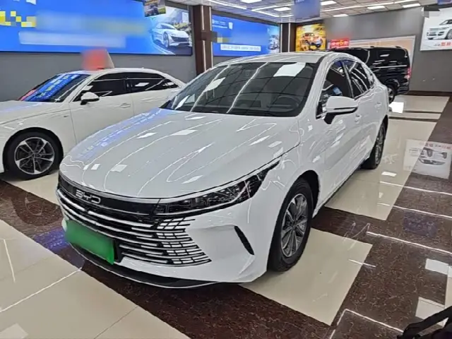 BYD Destroyer 05 2024, 28 200 км