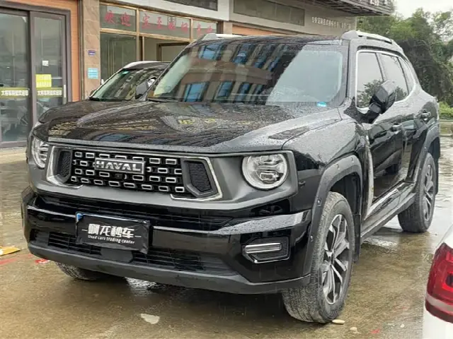 Haval H-Dog 2023, 25 000 км