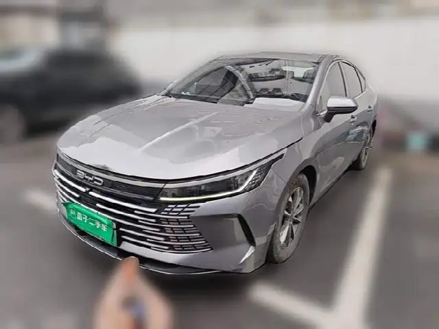 BYD Destroyer 05 2022, 97 500 км
