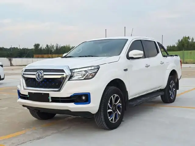 Dongfeng Rich 6 EV 2023, 59 000 км