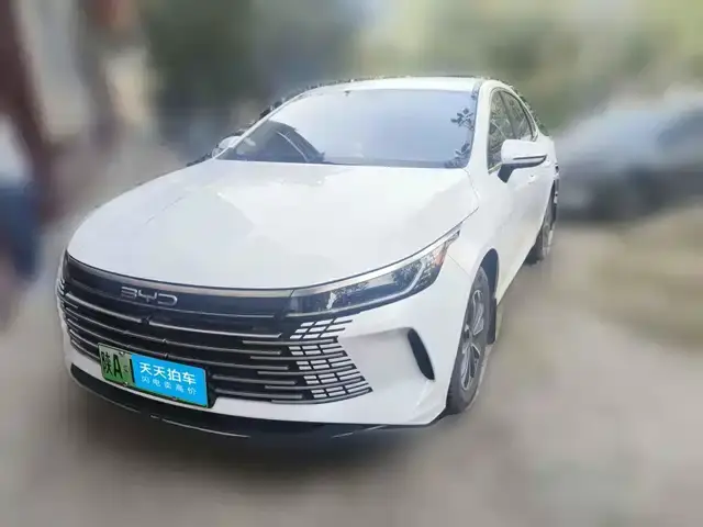 BYD Destroyer 05 2024, 16 890 км