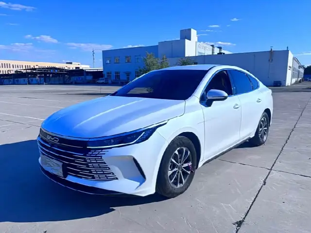 BYD Destroyer 05 2024, 50 000 км