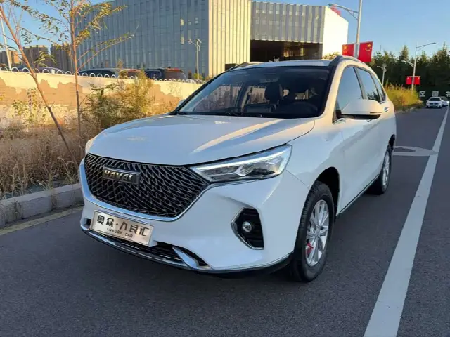 Haval M6 2021, 8 000 км