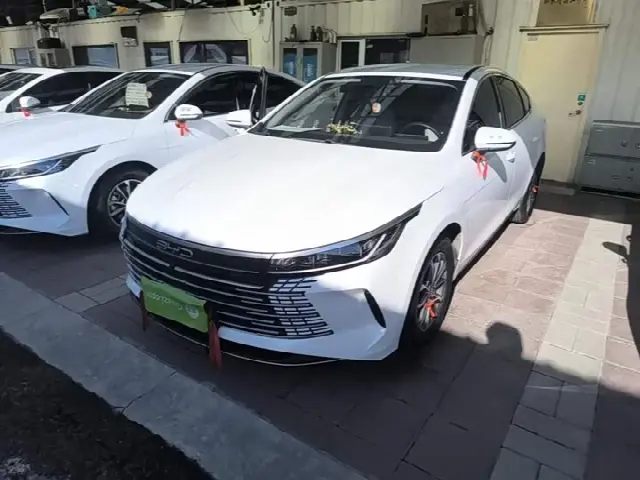 BYD Destroyer 05 2024, 26 000 км
