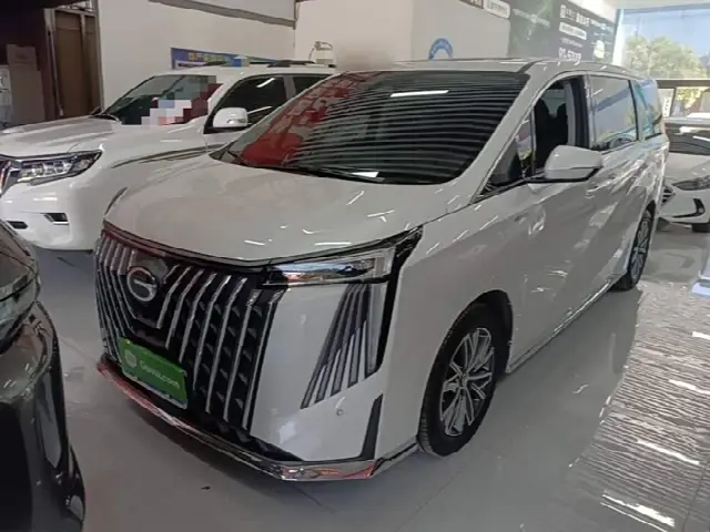GAC Trumpchi M8 2024, 13 700 км