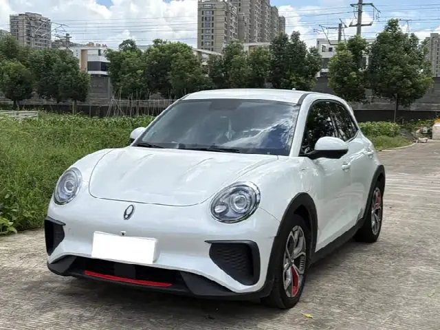 Ora Good Cat GT (03 GT) 2024, 30 000 км