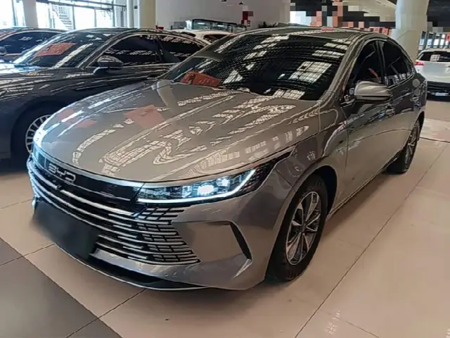 BYD Destroyer 05 2024, 46 300 км