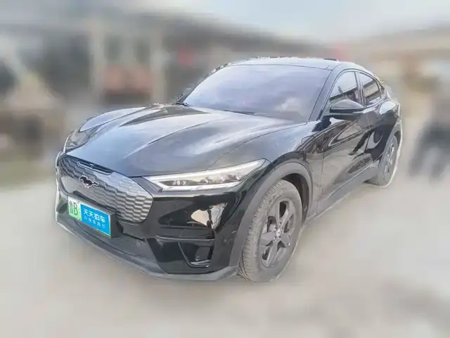 Ford Mustang Mach-E 2021, 28 920 км