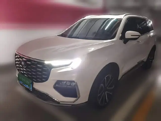 Ford Equator 2023, 30 500 км