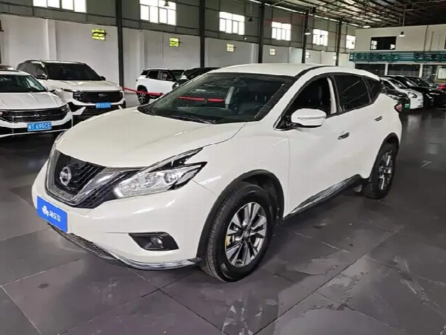 Nissan Murano 2021, 60 100 км