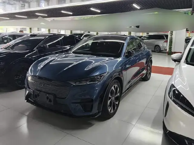 Ford Mustang Mach-E 2021, 52 900 км