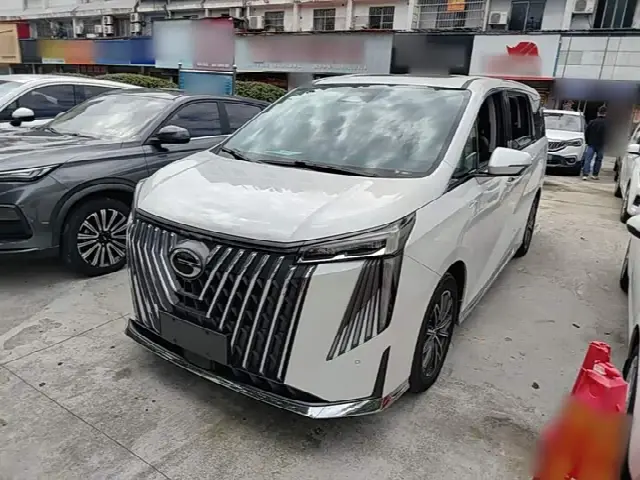 GAC Trumpchi M8 2024, 62 300 км
