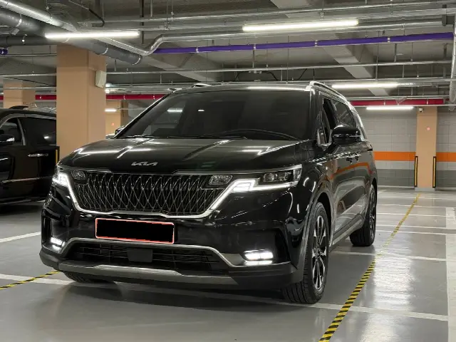 Kia Carnival 2020, 36 959 км