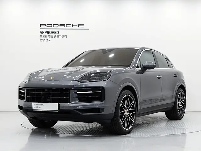 Porsche Cayenne 2019, 11 550 км