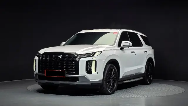Hyundai Palisade 2022, 28 492 км