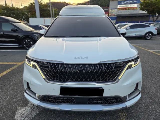 Kia Carnival 2020, 54 881 км