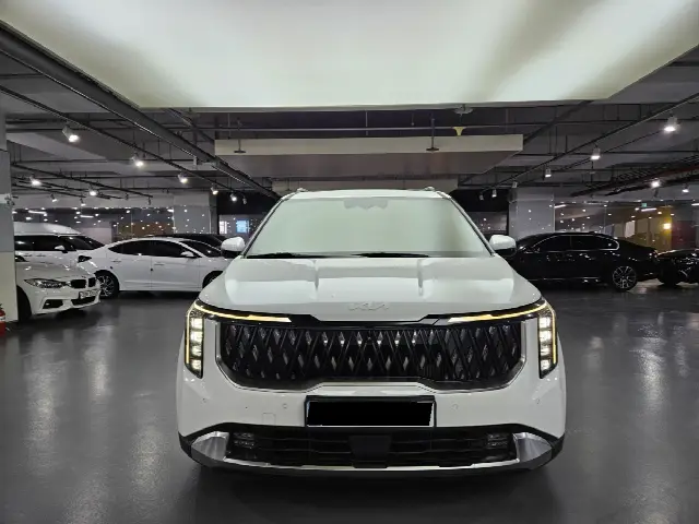 Kia Carnival 2023, 35 000 км
