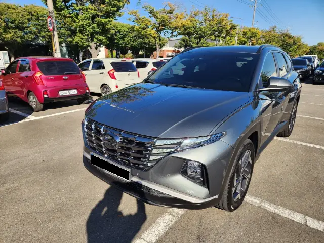 Hyundai Tucson 2020, 40 300 км