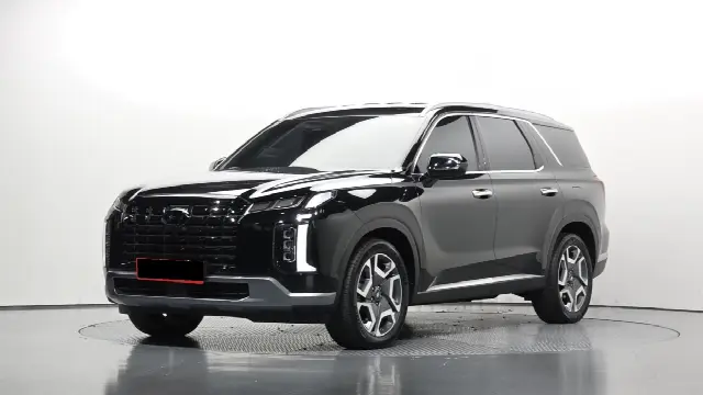 Hyundai Palisade 2022, 22 793 км