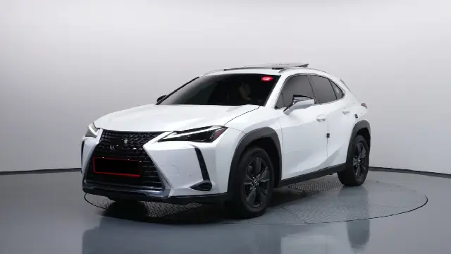 Lexus UX 2019, 66 291 км
