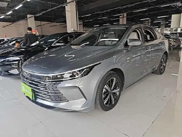 BYD Destroyer 05 2023, 21 400 км