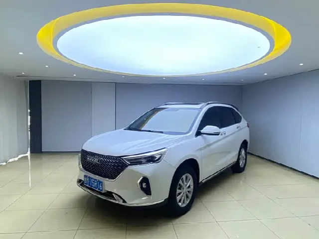 Haval M6 2021, 41 000 км