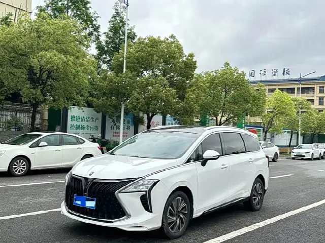 Dongfeng Forthing Yacht 2022, 38 000 км