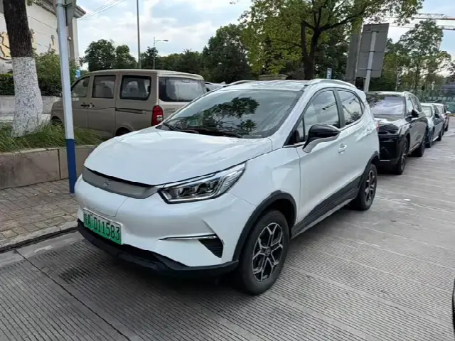 BYD Yuan Pro 2021, 37 000 км