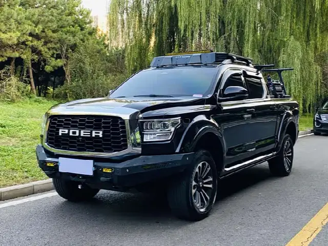 Great Wall Shanhai Poer 2023, 77 000 км