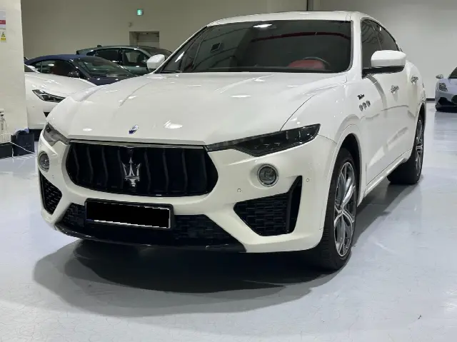 Maserati Levante 2016, 19 100 км
