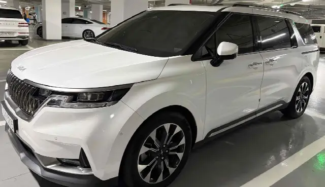 Kia Carnival 2020, 59 500 км