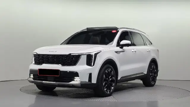 Kia Sorento 2023, 28 592 км