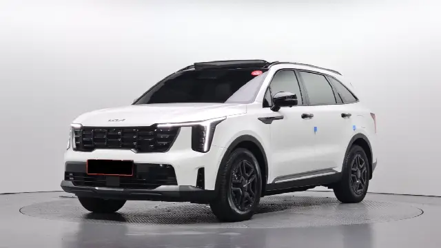 Kia Sorento 2023, 12 571 км