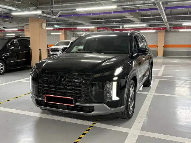 Hyundai Palisade 2022, 49 666 км